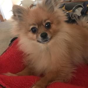 Meet your Posher, Kimberly